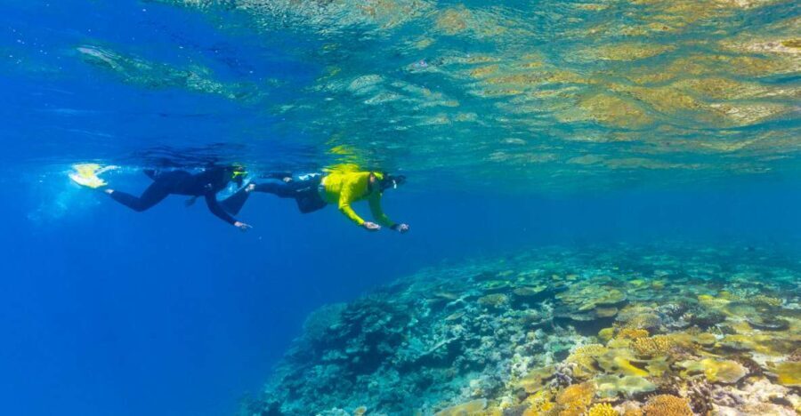 Townsville & Magnetic Island: MOUA & Great Barrier Reef Trip - Why This Tour Works