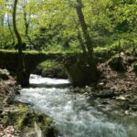 Trabzon: Sumela Monastery Day Tour with Lunch - Exploring the Itinerary in Detail