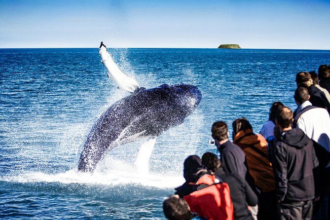 Traditional Oak Ship Whale Watching Tour From Husavik