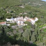 Traditional Private Setúbal Food Tasting Experience - A Detailed Look at What You Can Expect