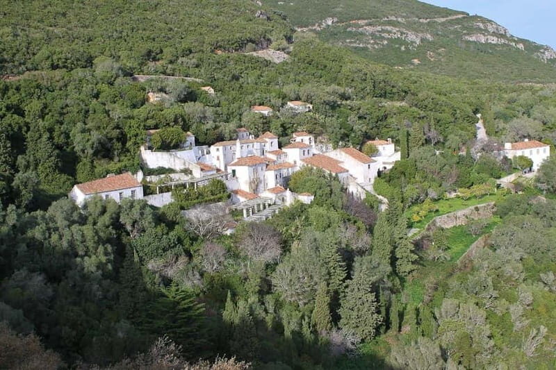 Traditional Private Setúbal Food Tasting Experience - A Detailed Look at What You Can Expect