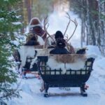 Traditional Reindeer Farm Visit with a Short Sleigh Ride - The Value of This Reindeer Farm Visit
