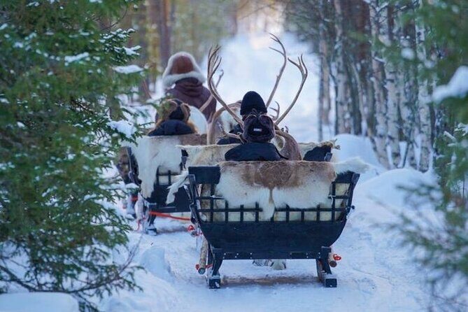Traditional Reindeer Farm Visit with a Short Sleigh Ride - The Value of This Reindeer Farm Visit
