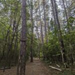 Trail Running Adventure - An In-Depth Look at the Trail Running Adventure
