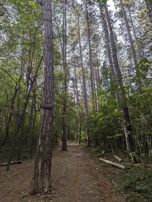 Trail Running Adventure - An In-Depth Look at the Trail Running Adventure