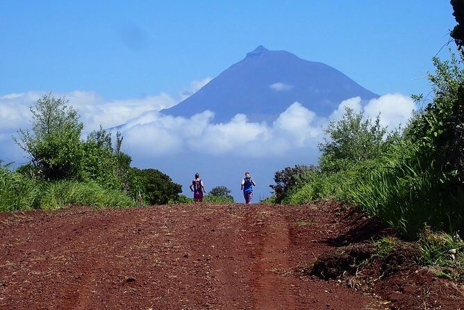 Trail Running private tour in Faial - Who Should Consider This Tour?