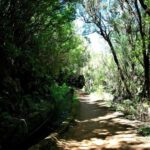 Trail to Wind Lagoon  Explore Levada do Alecrim - Final Thoughts