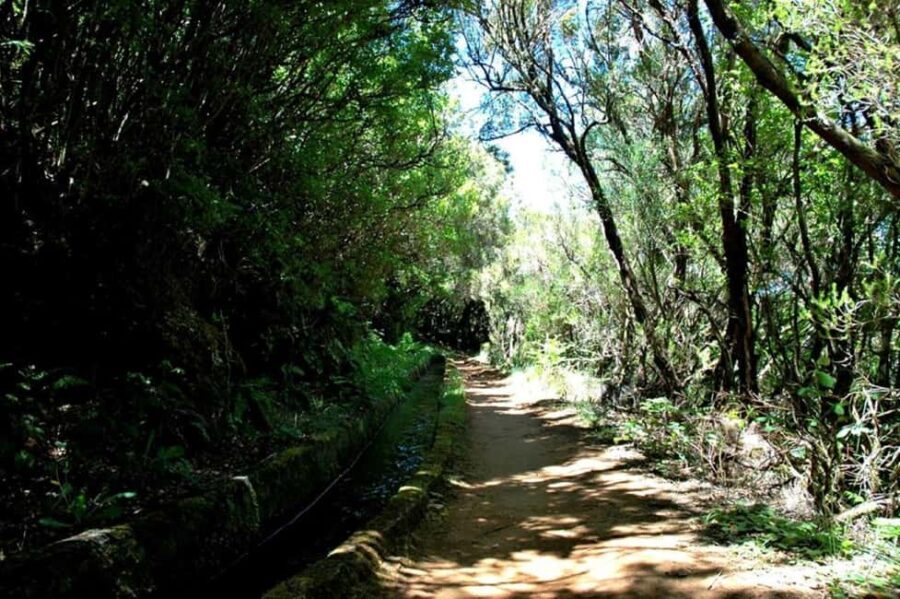 Trail to Wind Lagoon  Explore Levada do Alecrim - Final Thoughts
