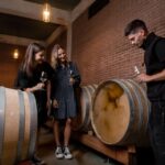 Tramin/Termeno: Winery Tour & Wine Tasting, J. Hofstätter - A Closer Look at What You Can Expect