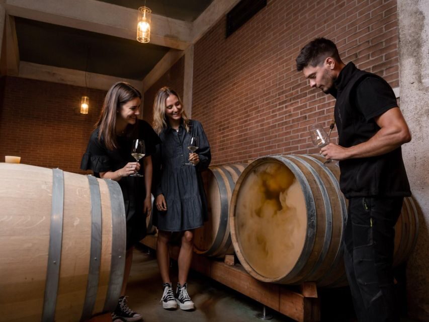 Tramin/Termeno: Winery Tour & Wine Tasting, J. Hofstätter