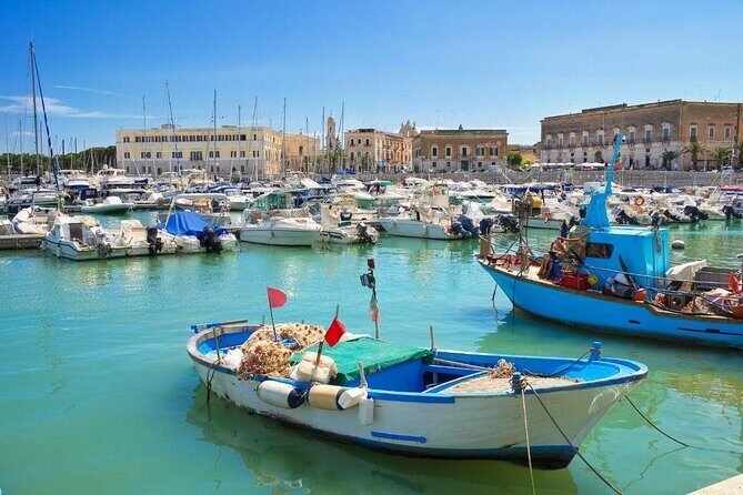 TRANI and Castel Del Monte UNESCO from your accomodation - FAQ