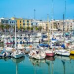 Trani, Wine Tasting, and Castel Del Monte tour from Bari or Ostuni - Who Will Love This Tour?
