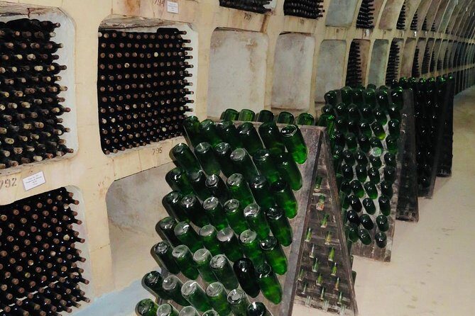 Transdniestria Tour & Milestii Mici Winery - Who Should Consider This Tour?
