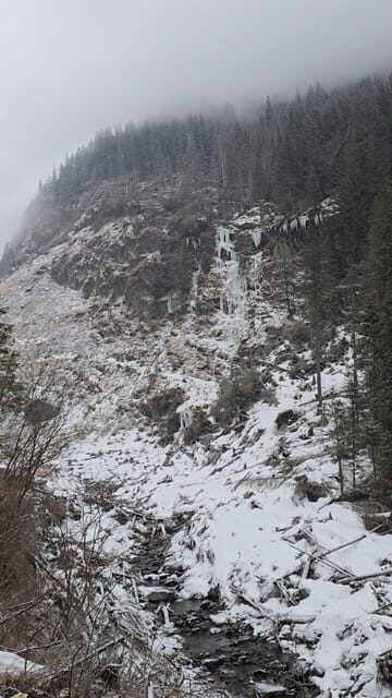 Transfagarasan highway Private tour - What Makes This Tour Stand Out?