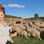 Transfagarasan Road Private Day Trip from Bucharest / The Best Road in the World - An In-Depth Look at the Transfagarasan Private Day Trip