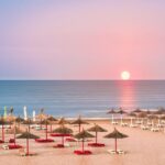 Transfer Bucharest to Constanta / Mamaia - Who Is This Service Best For?