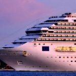 Transfer Civitavecchia Cruise Port>Rome/FCO/or Private Revers - Detailed Breakdown of the Journey