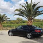 Transfer da aeroporto Palermo a Trapani porto - Who Should Book This Transfer?