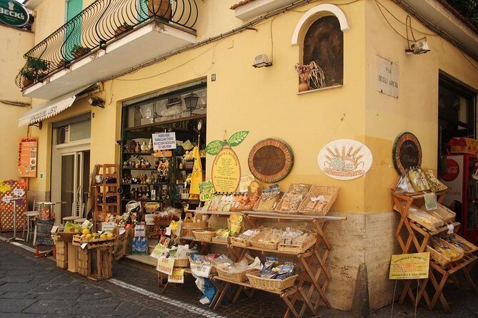 Transfer from Naples to Sorrento or Sorrento to Naples - Detailed Breakdown of the Itinerary and Service