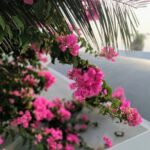 Transfer from Oia to Fira and Airport - In-Depth Review of the Transfer from Oia to Fira and the Airport