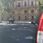 Transfer from Palermo Airport to Marina di Portorosa, Furnari - The Vehicle & Amenities