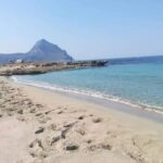 Transfer from Palermo Airport to San Vito Lo Capo e Macari - Final Thoughts