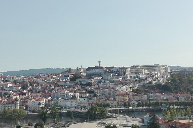 Transfer from Porto to Coimbra visiting Aveiro, half day - A Detailed Look at the Half-Day Adventure from Porto to Coimbra