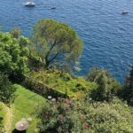 Transfer- from Ravello to Rome & Vice Versa - Final Reflections: Who Will Benefit Most?