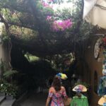 Transfer from Rome to Amalfi coast/Sorrento Area and Vice Versa - Who Should Consider This Transfer?