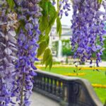 Transfer from Vienna to Salzburg: Private daytrip with 2 hours for sightseeing - The Sum Up