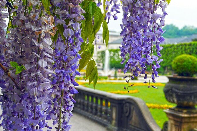 Transfer from Vienna to Salzburg: Private daytrip with 2 hours for sightseeing - The Sum Up