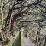 Transfer Rabacal 25 Fontes & Risco Levada Self-Guided - FAQ