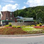 Transylvania 2 days Tour Small Group - Final Thoughts: Is This Tour Right for You?