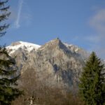 Transylvania: Cultural Full-Day Trip by Minivan - What the Tour Includes and What You Should Know