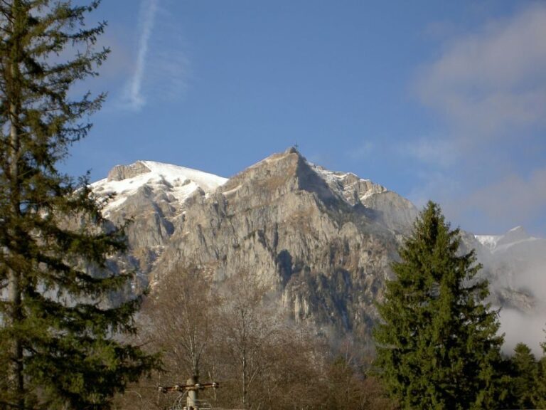 Transylvania: Cultural Full-Day Trip by Minivan - What the Tour Includes and What You Should Know