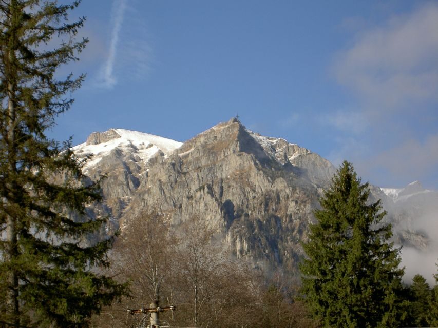 Transylvania: Cultural Full-Day Trip by Minivan - What the Tour Includes and What You Should Know