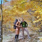 Transylvania: Hike and fly by paraglider day trip - The Sum Up