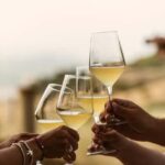 Trapani: Organic Wine Tasting with the Producer - Behind the Scenes: From Grape to Bottle
