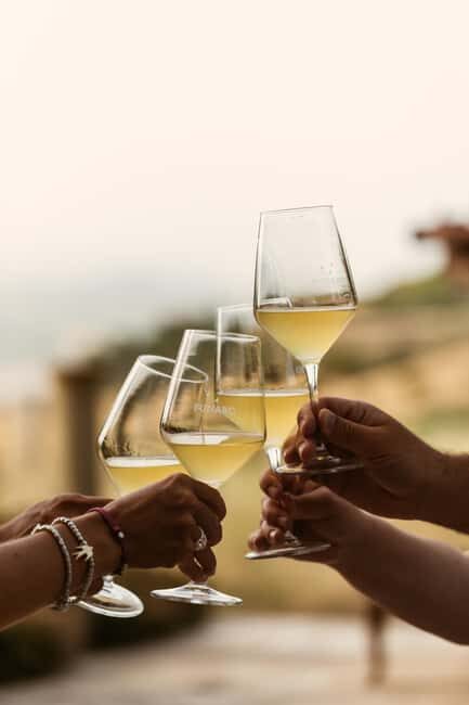 Trapani: Organic Wine Tasting with the Producer - Behind the Scenes: From Grape to Bottle