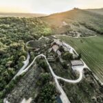 Trasimeno: Discovering Montemelino Wine Experience - The Experience: What Travelers Really Think