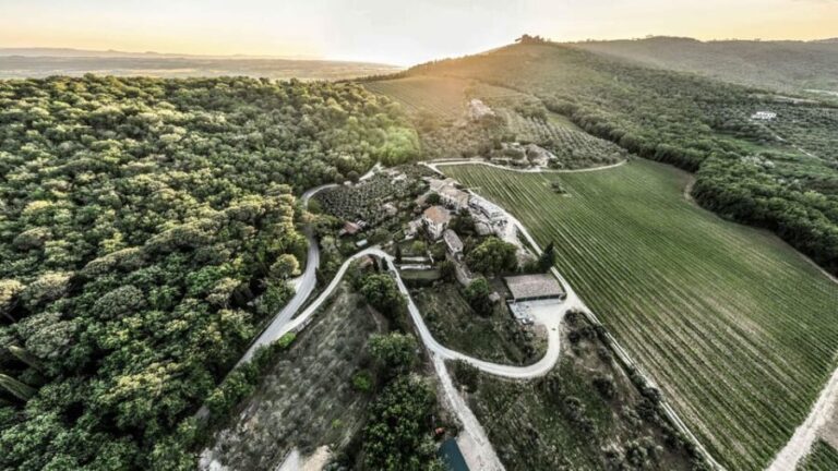Trasimeno: Discovering Montemelino Wine Experience - The Experience: What Travelers Really Think