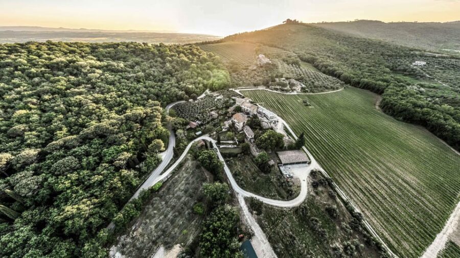Trasimeno: Discovering Montemelino Wine Experience - The Experience: What Travelers Really Think