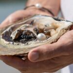 Treasures of Broome Tour - Why This Tour Works for Travelers