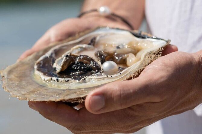Treasures of Broome Tour - Why This Tour Works for Travelers