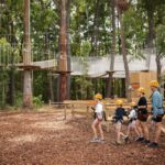 TreeClimb Kuitpo Forest: Exciting Treetop Climbing Adventure - The Experience: Making the Most of Your Time