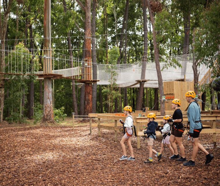 TreeClimb Kuitpo Forest: Exciting Treetop Climbing Adventure - The Experience: Making the Most of Your Time