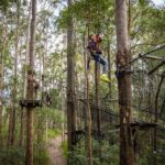 Treetop Challenge Adrenaline Pass - Final Thoughts