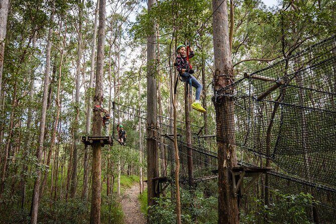 Treetop Challenge Adrenaline Pass - Final Thoughts
