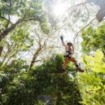 TreeTop Challenge Currumbin Wildlife Park - Why This Tour Offers Great Value