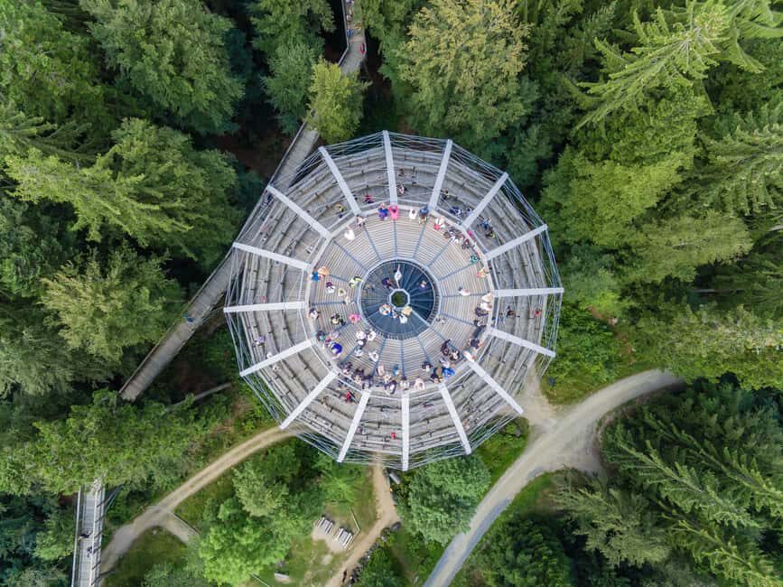 Treetop Walk Bavarian Forest: Discover the world of treetops